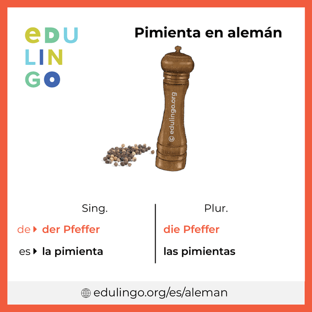 Imagen de vocabulario Pimienta en alemán con singular y plural para descargar e imprimir