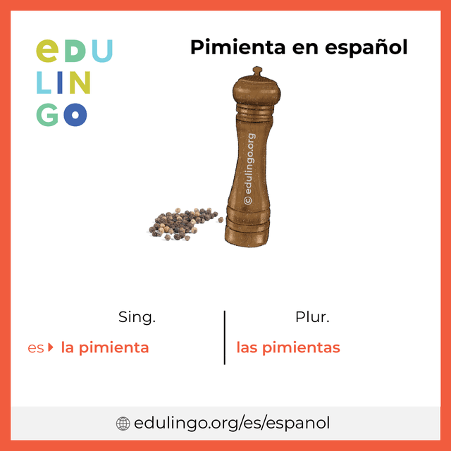 Imagen de vocabulario Pimienta en español con singular y plural para descargar e imprimir