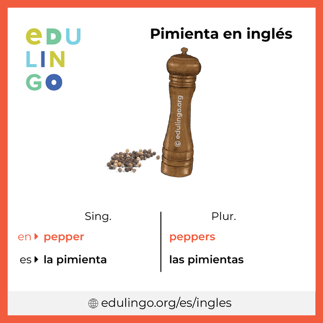 Imagen de vocabulario Pimienta en inglés con singular y plural para descargar e imprimir