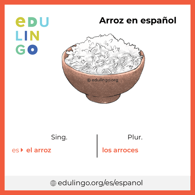 Imagen de vocabulario Arroz en español con singular y plural para descargar e imprimir