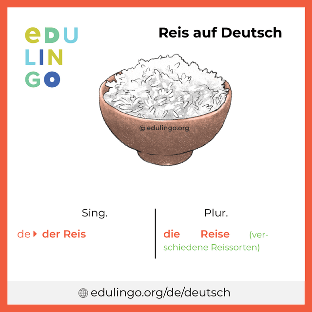 Reis auf Deutsch Vokabelbild mit Singular und Plural zum Herunterladen und Ausdrucken