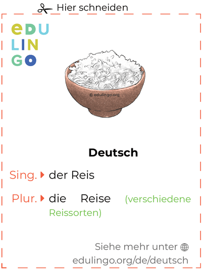 Reis auf Deutsch Vokabelkartei zum Ausdrucken, Üben und Lernen