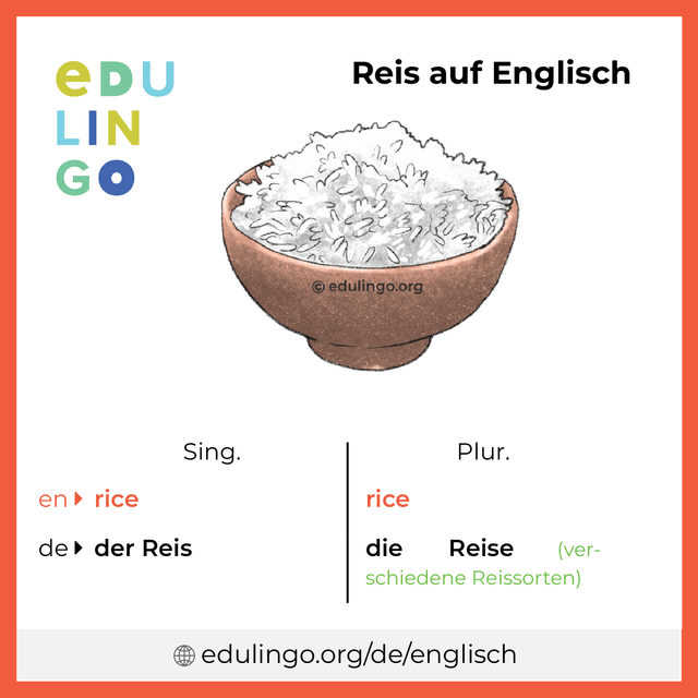 Reis auf Englisch Vokabelbild mit Singular und Plural zum Herunterladen und Ausdrucken