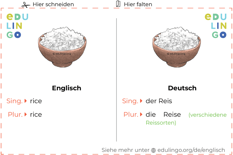 Reis auf Englisch Vokabelkartei zum Ausdrucken, Üben und Lernen