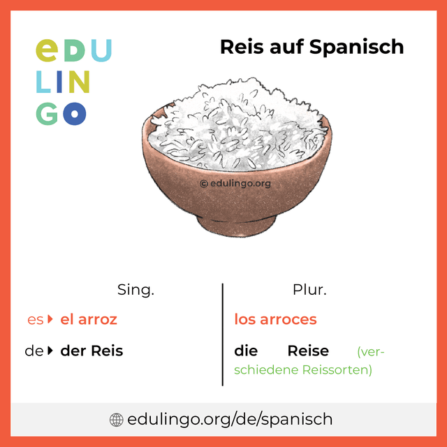 Reis auf Spanisch Vokabelbild mit Singular und Plural zum Herunterladen und Ausdrucken