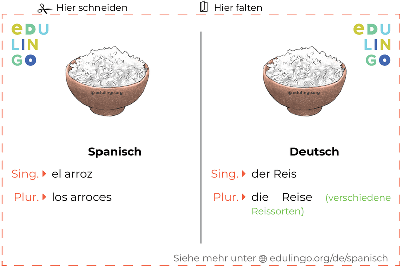 Reis auf Spanisch Vokabelkartei zum Ausdrucken, Üben und Lernen