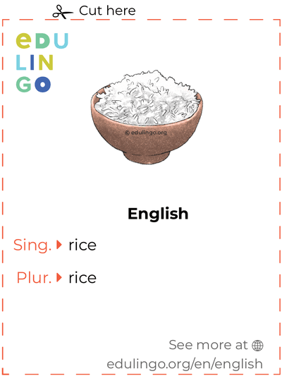 Rice in English vocabulary flashcard for printing, practicing and learning