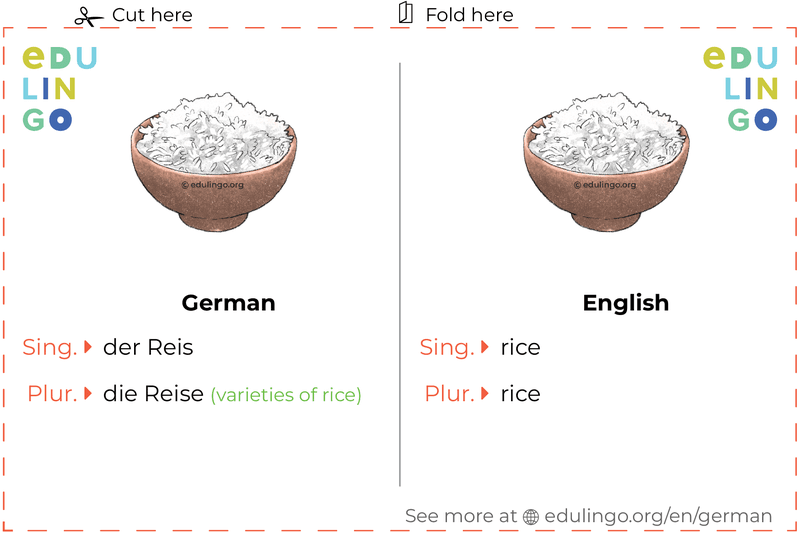 Rice in German vocabulary flashcard for printing, practicing and learning