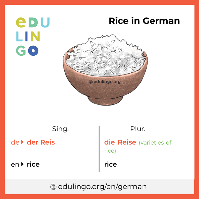 Rice in German vocabulary picture with singular and plural for download and printing