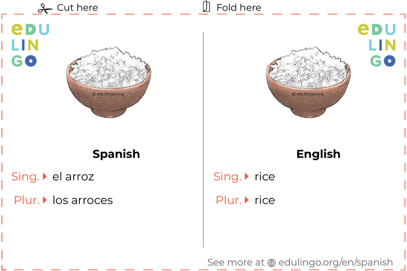 Rice in Spanish vocabulary flashcard for printing, practicing and learning