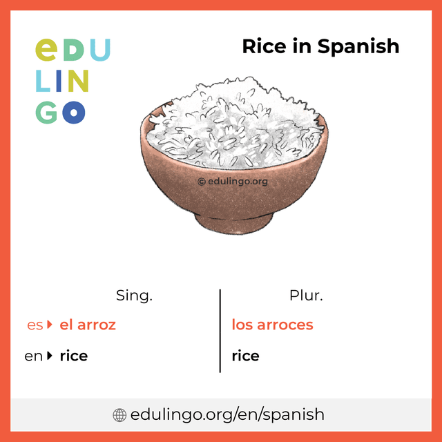 Rice in Spanish vocabulary picture with singular and plural for download and printing
