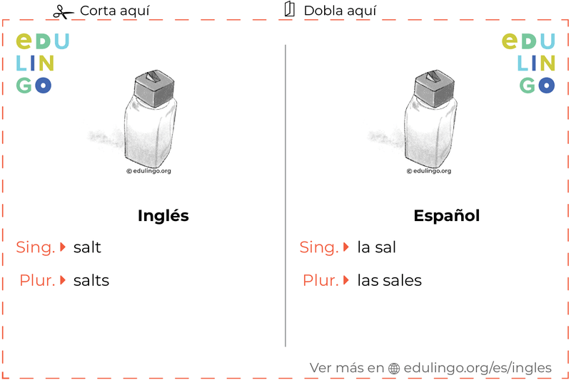 Ficha de Vocabulario Sal en inglés para imprimir, practicar y aprender