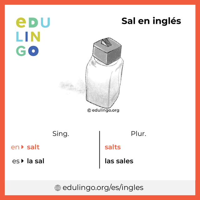 Imagen de vocabulario Sal en inglés con singular y plural para descargar e imprimir