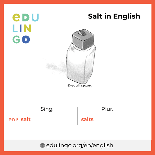 Salt in English vocabulary picture with singular and plural for download and printing