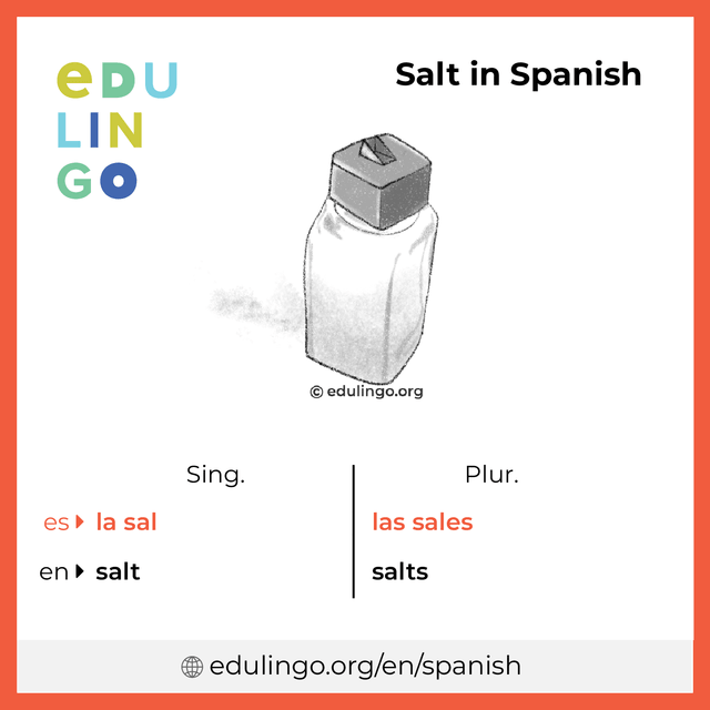 Salt in Spanish vocabulary picture with singular and plural for download and printing