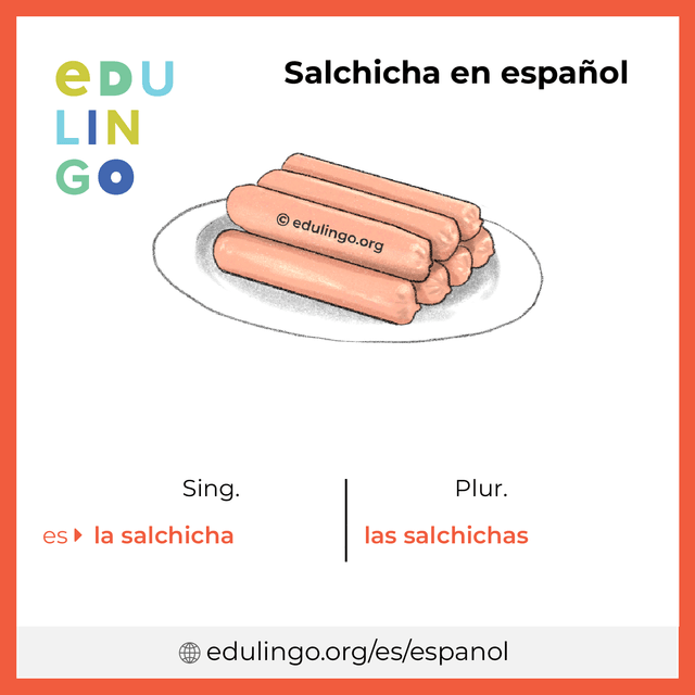 Imagen de vocabulario Salchicha en español con singular y plural para descargar e imprimir