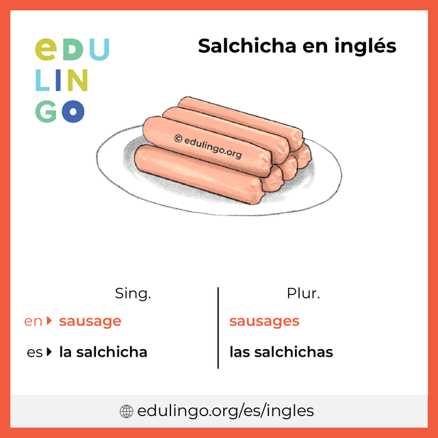 Imagen de vocabulario Salchicha en inglés con singular y plural para descargar e imprimir