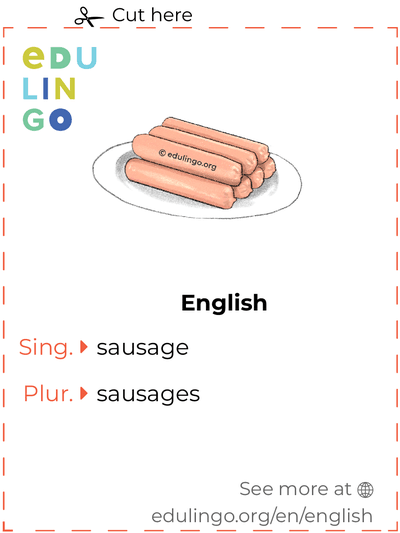 Sausage in English vocabulary flashcard for printing, practicing and learning