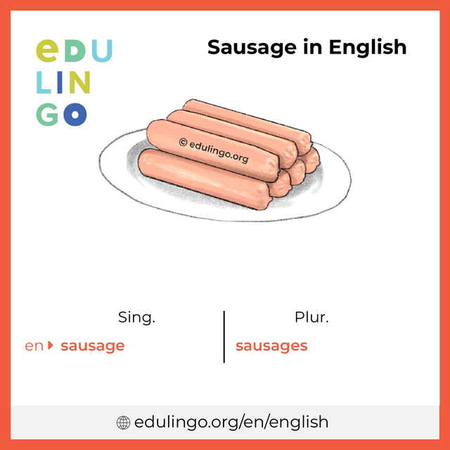 Sausage in English vocabulary picture with singular and plural for download and printing