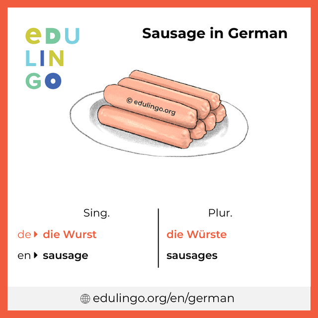 Sausage in German vocabulary picture with singular and plural for download and printing