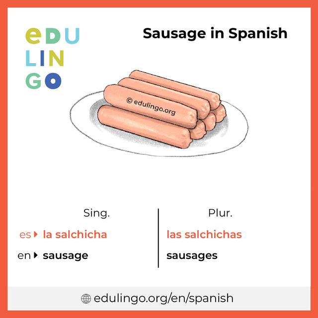 Sausage in Spanish vocabulary picture with singular and plural for download and printing