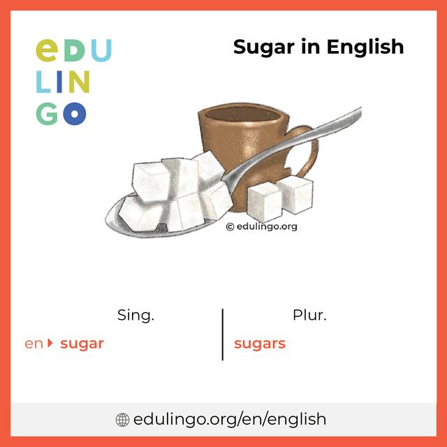 Sugar in English vocabulary picture with singular and plural for download and printing