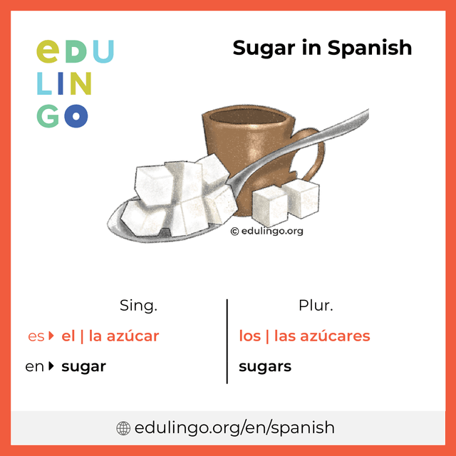 Sugar in Spanish vocabulary picture with singular and plural for download and printing