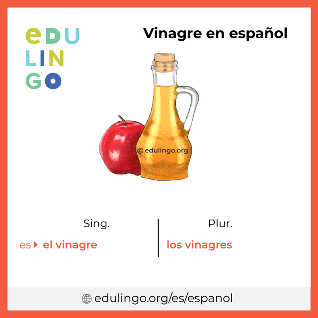 Imagen de vocabulario Vinagre en español con singular y plural para descargar e imprimir