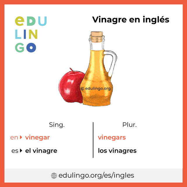 Imagen de vocabulario Vinagre en inglés con singular y plural para descargar e imprimir