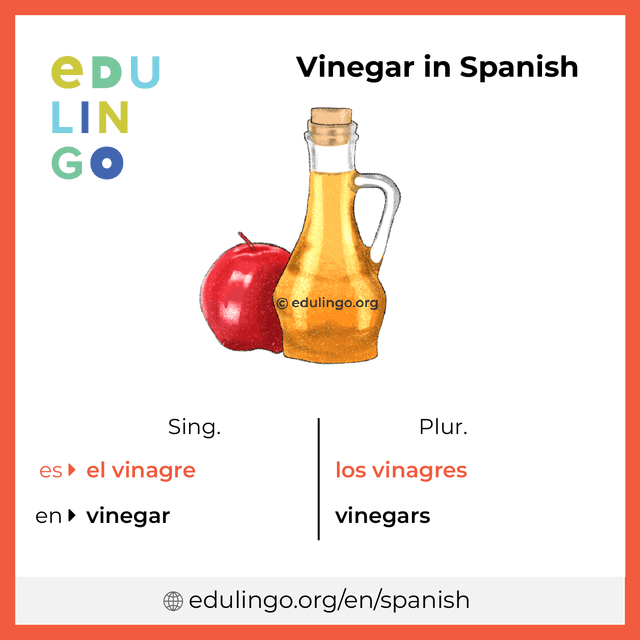 Vinegar in Spanish vocabulary picture with singular and plural for download and printing