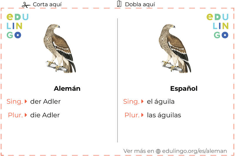 Ficha de Vocabulario Águila en alemán para imprimir, practicar y aprender