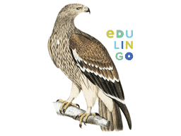 Thumbnail: Eagle in English