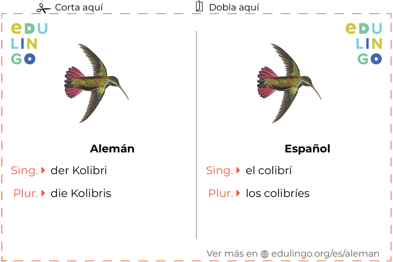 Ficha de Vocabulario Colibrí en alemán para imprimir, practicar y aprender