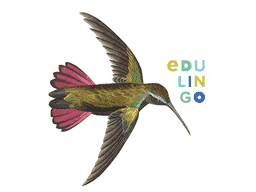 Thumbnail: Hummingbird in English