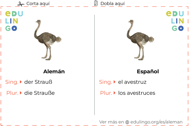 Ficha de Vocabulario Avestruz en alemán para imprimir, practicar y aprender