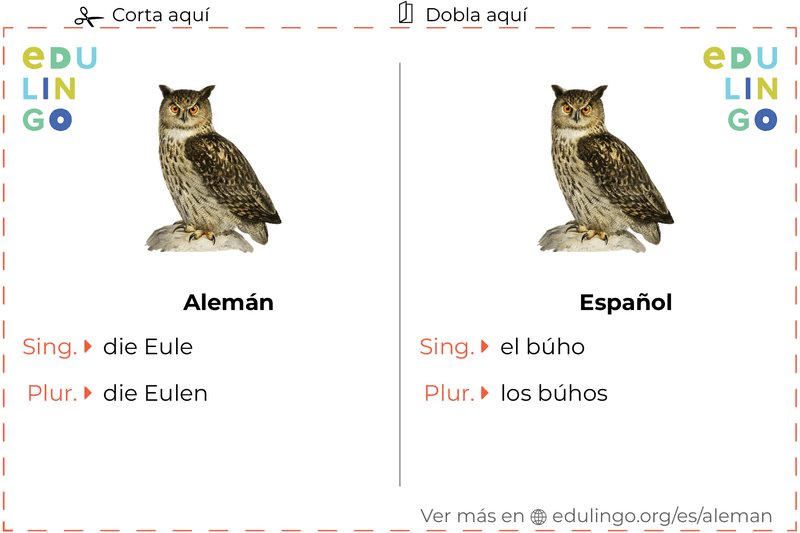 Ficha de Vocabulario Búho en alemán para imprimir, practicar y aprender