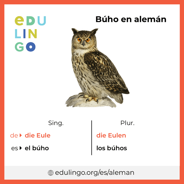 Imagen de vocabulario Búho en alemán con singular y plural para descargar e imprimir