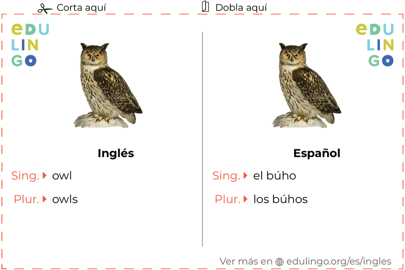 Ficha de Vocabulario Búho en inglés para imprimir, practicar y aprender