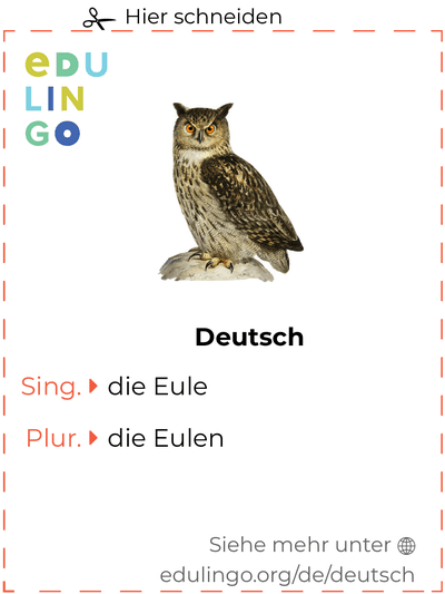 Eule auf Deutsch Vokabelkartei zum Ausdrucken, Üben und Lernen