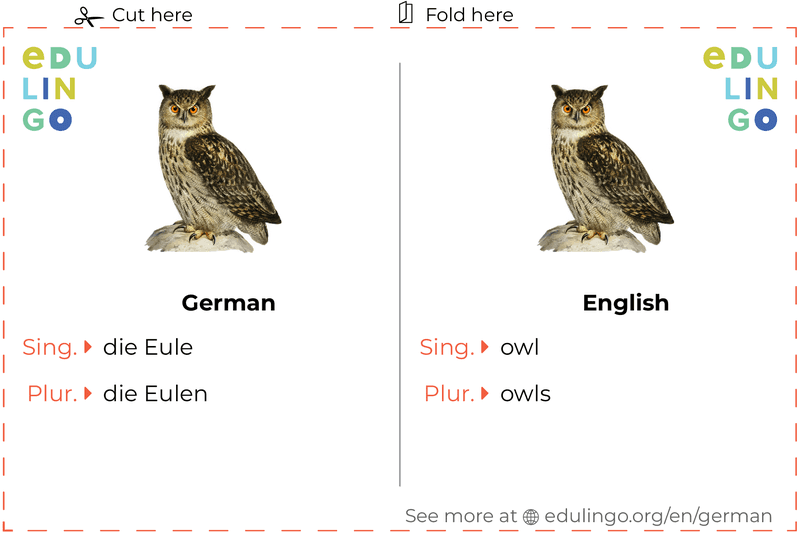 Owl in German vocabulary flashcard for printing, practicing and learning