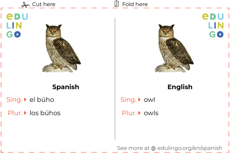 Owl in Spanish vocabulary flashcard for printing, practicing and learning