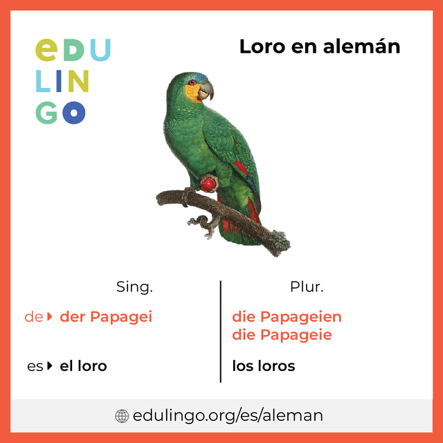 Imagen de vocabulario Loro en alemán con singular y plural para descargar e imprimir
