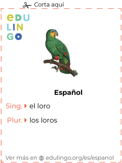 Ficha de Vocabulario Loro en español para imprimir, practicar y aprender