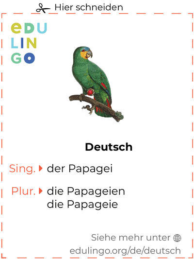 Papagei auf Deutsch Vokabelkartei zum Ausdrucken, Üben und Lernen