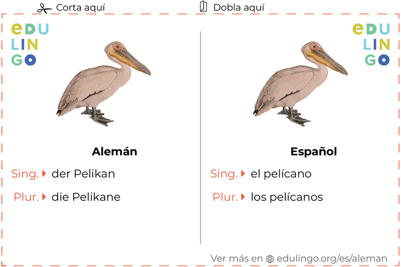 Ficha de Vocabulario Pelícano en alemán para imprimir, practicar y aprender