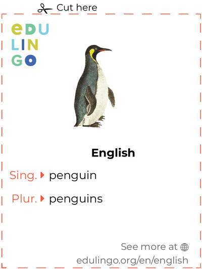 Penguin in English vocabulary flashcard for printing, practicing and learning