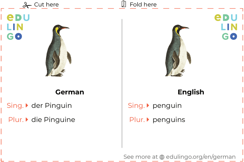 Penguin in German vocabulary flashcard for printing, practicing and learning
