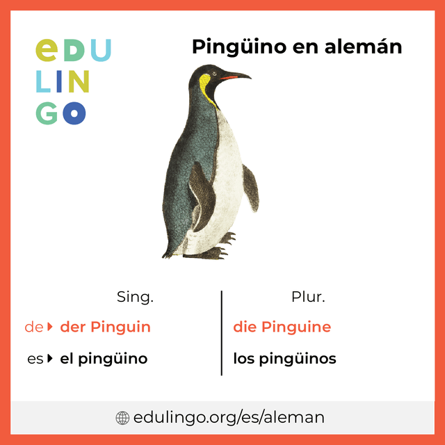 Imagen de vocabulario Pingüino en alemán con singular y plural para descargar e imprimir