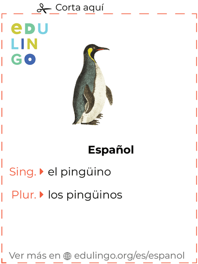 Ficha de Vocabulario Pingüino en español para imprimir, practicar y aprender
