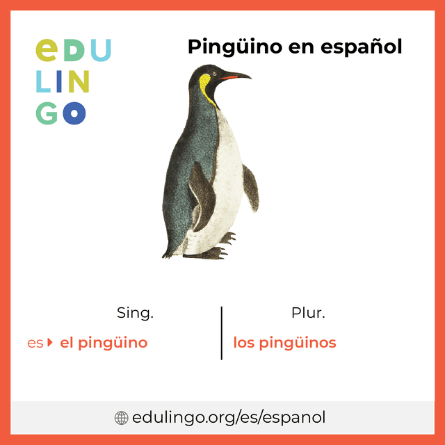 Imagen de vocabulario Pingüino en español con singular y plural para descargar e imprimir